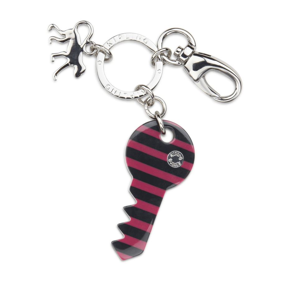 resm KEYHANGER KEY
